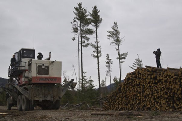 Camera operator filming from atop a log pile in the Maine woods
